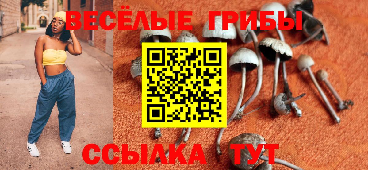 Галлюциногенные грибы мухоморы  Вход с VPN  Псилоцибиновые грибы прущие грибы  Кисловодск 