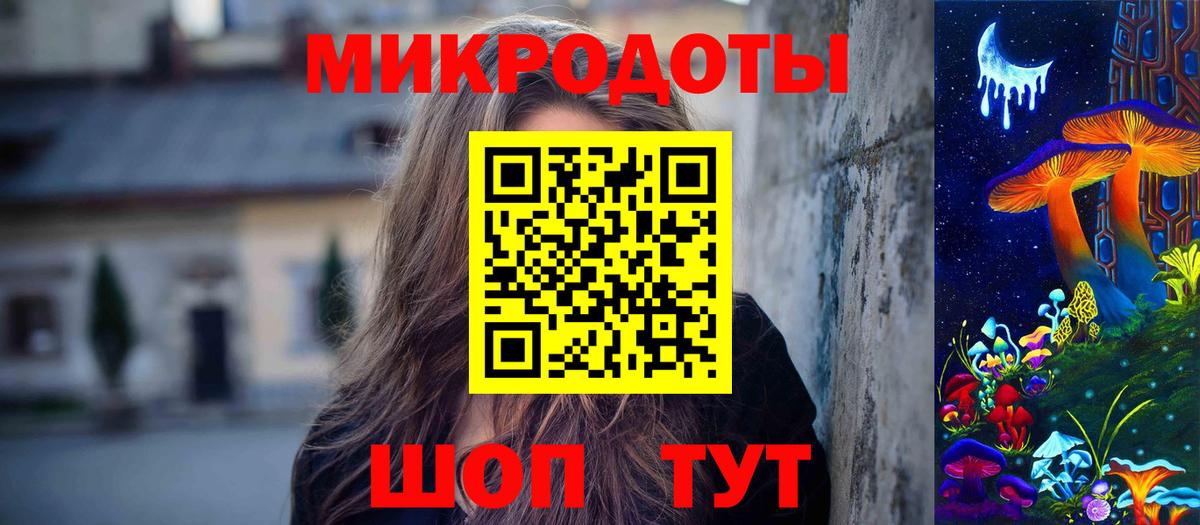 Галлюциногенные грибы Psilocybe Кисловодск